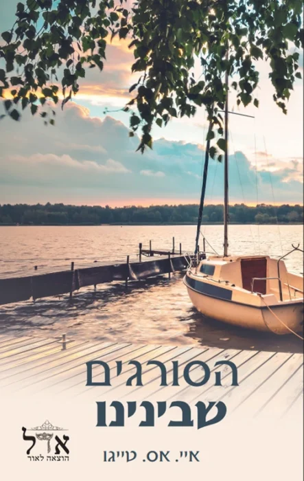 עטיפת הספר הסורגים שבינינו מאת איי. אס. טייגו – רומן דרמטי על אהבה, סודות משפחתיים וגילויים המטלטלים עיירה קטנה