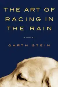 עטיפת הספר The Art of Racing in the Rain מאת Garth Stein - כלב פילוסוף, נהג מרוצים והרבה יותר מדי אסונות
