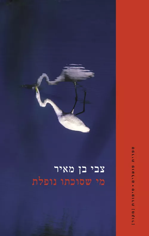 מי שסוכתו נופלת/ צבי בן מאיר