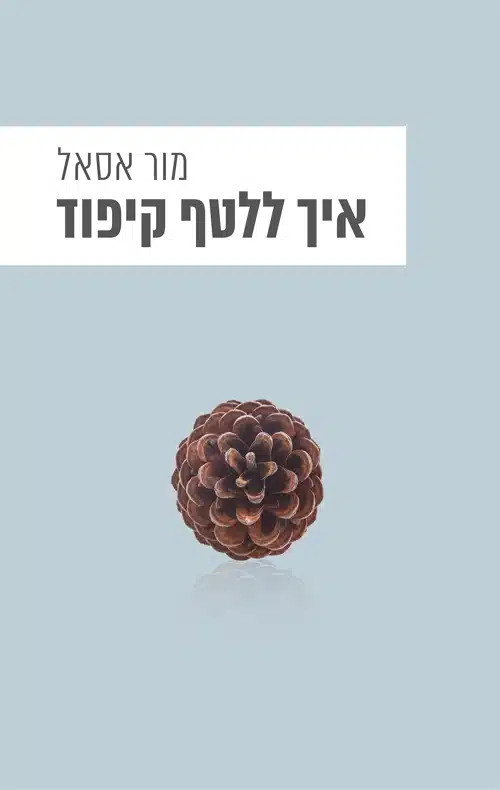 עטיפת הספר איך ללטף קיפוד מאת מור אסאל - עבר סוער, הווה קפוא. "איך ללטף קיפוד" הוא סיפור על אישה שמעדיפה להיאחז בפצעים ישנים, גם כשהם חוסמים את הדרך קדימה...