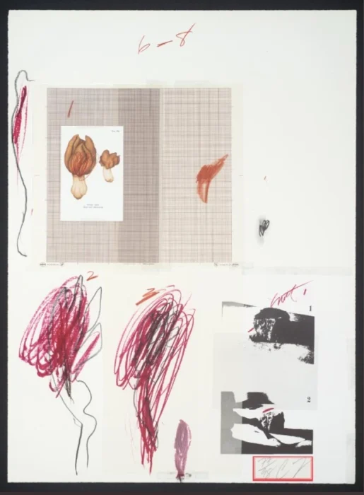 Artboard featuring a grid-patterned page with a botanical illustration inset, red and pink scribbles, and small black-and-white thumbnail shapes on the right.