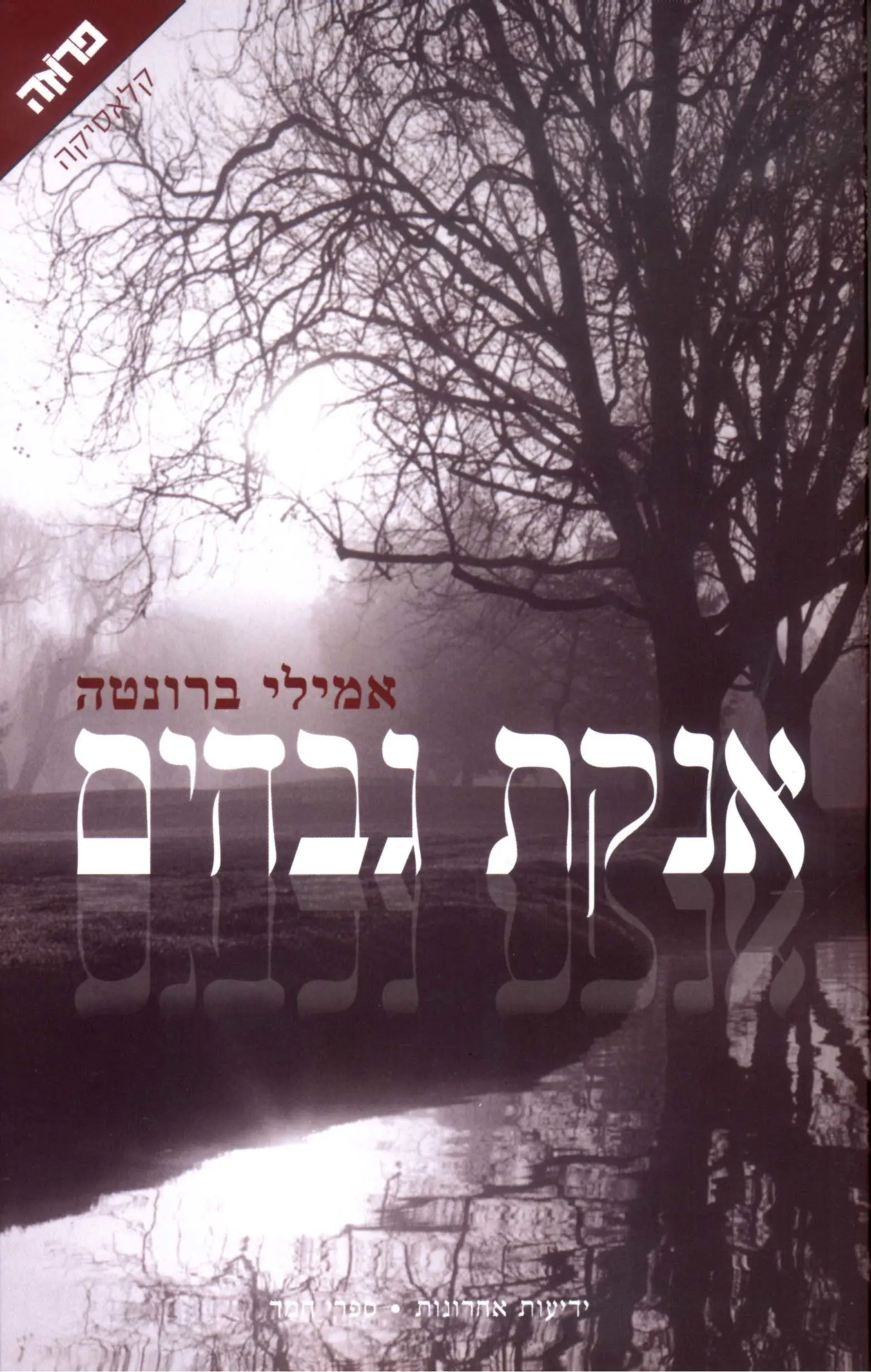 אנקת גבהים - Sivi's Books - Sivi's Books אנקת גבהים אנקת גבהים עטיפת הספר אנקת גבהים מאת אמילי ברונטה: לא סיפור אהבה אלא רומן על אובססיה והרס
