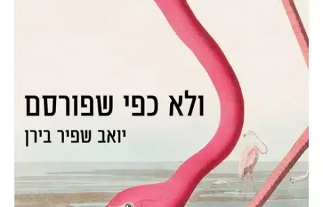 ולא כפי שפורסם / יואב שפיר בירן