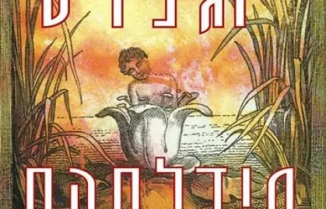 מידלסקס/ ג`פרי יוג`נידיס